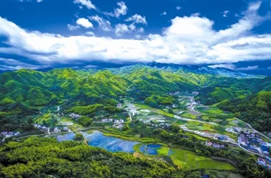 高固碳能力植物景观为“双碳”目标助力