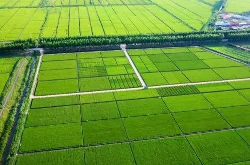 省委农村工作会议提出 今年粮食播种面积7135万亩以上 打造100个高标准农田示范区