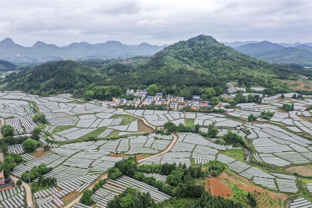 这是广西桂林市全州县才湾镇毛竹山村（2021年4月25日摄，无人机照片）。新华社记者 曹祎铭 摄