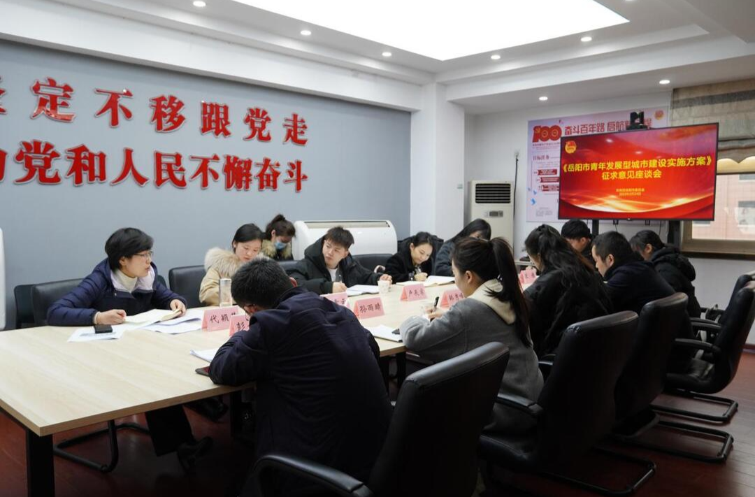 团岳阳市委召开青年发展型城市建设座谈会