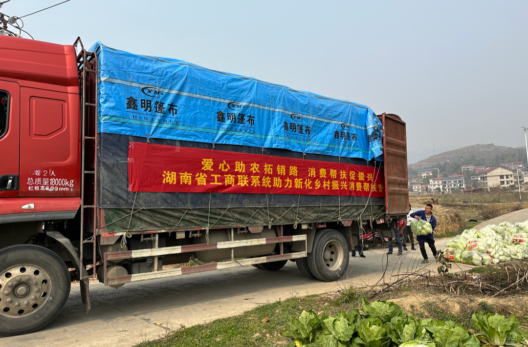 湘商力量|40余万斤！省工商联开展消费帮扶助力解决白菜滞销难题