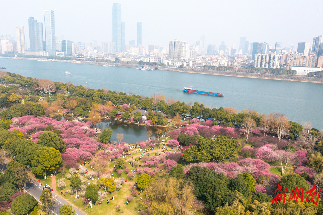 省级党报党端朋友圈|文旅迎春,神州大地齐争艳_邵阳头条网