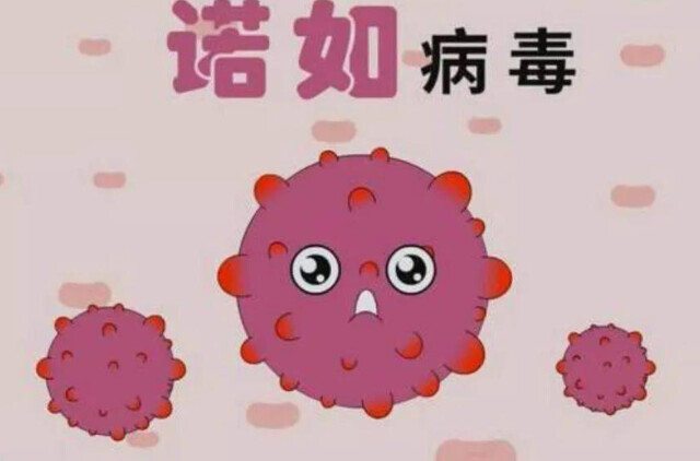 看视频长知识｜诺如病毒如何避免？仔细看完了解“关键”！
