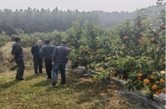 湖南省植保植检站赴永州市调研