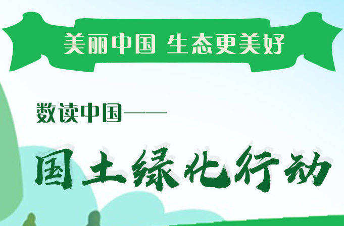 数读中国——一图速览中国国土绿化行动成绩单