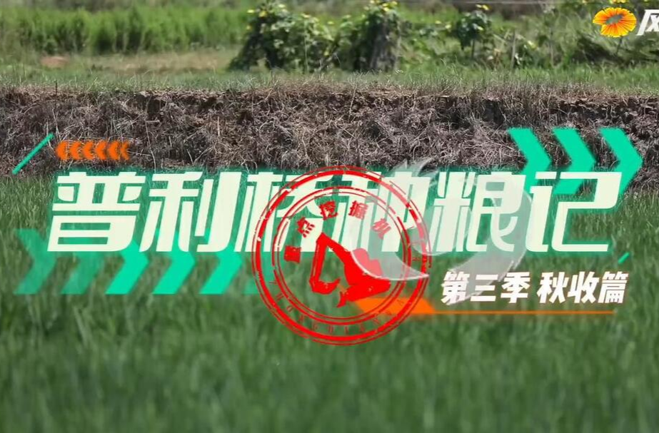 《普利橋種糧記·秋收篇》 第2集 包裝大米也有買家秀？這操作讓人笑噴……