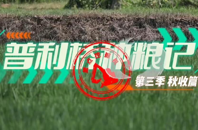 《普利桥种粮记第三季》秋收篇