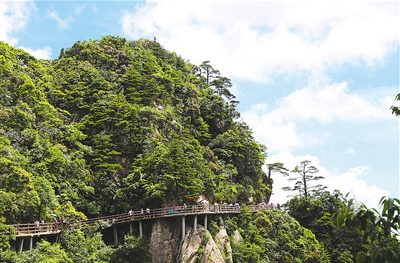 “林长+检察长”协作共护郴州绿水青山