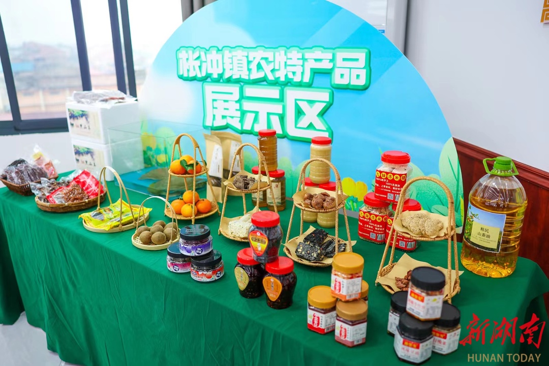 浏阳市启动“万企兴万村”民营企业助力乡村振兴枨冲行动 22家民企与9村结对帮扶 - 新湖南客户端 - 新湖南
