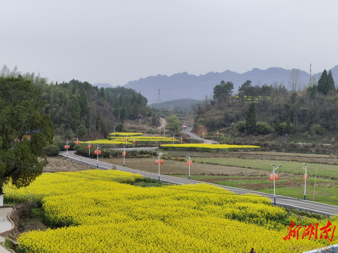 湘西麻溪铺镇图片