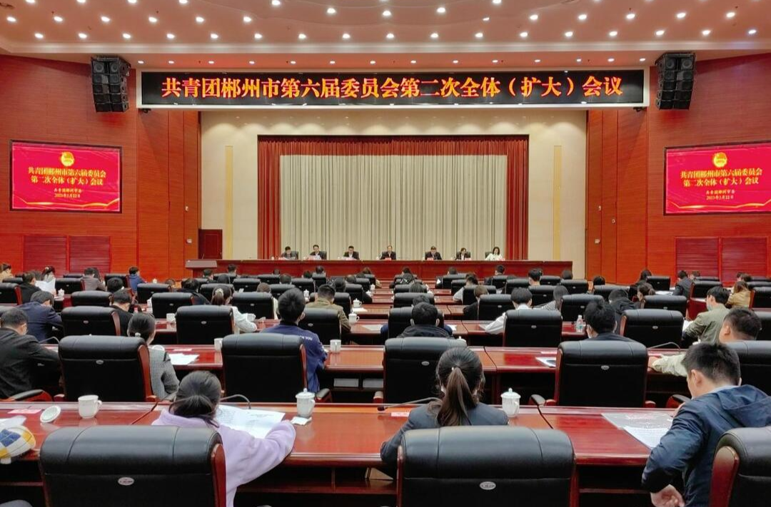 郴州共青团第六届委员会第二次全体（扩大）会议召开
