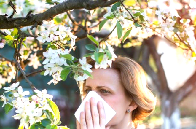 春季防花粉过敏，这些方法和细节要做到位
