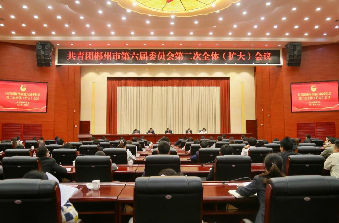 安排全年重点工作任务  团郴州市委召开六届二次全会