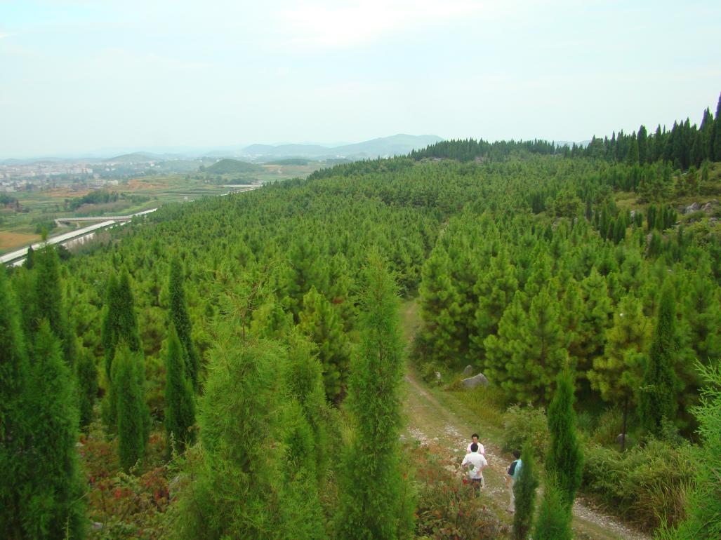 荒山秃岭图片