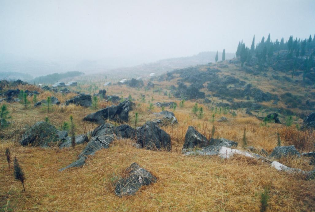 荒山秃岭图片