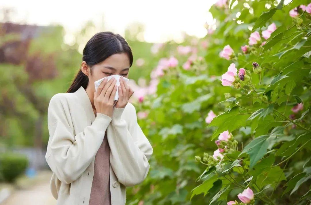 一把鼻涕一把泪，春季过敏性鼻炎如何应对→