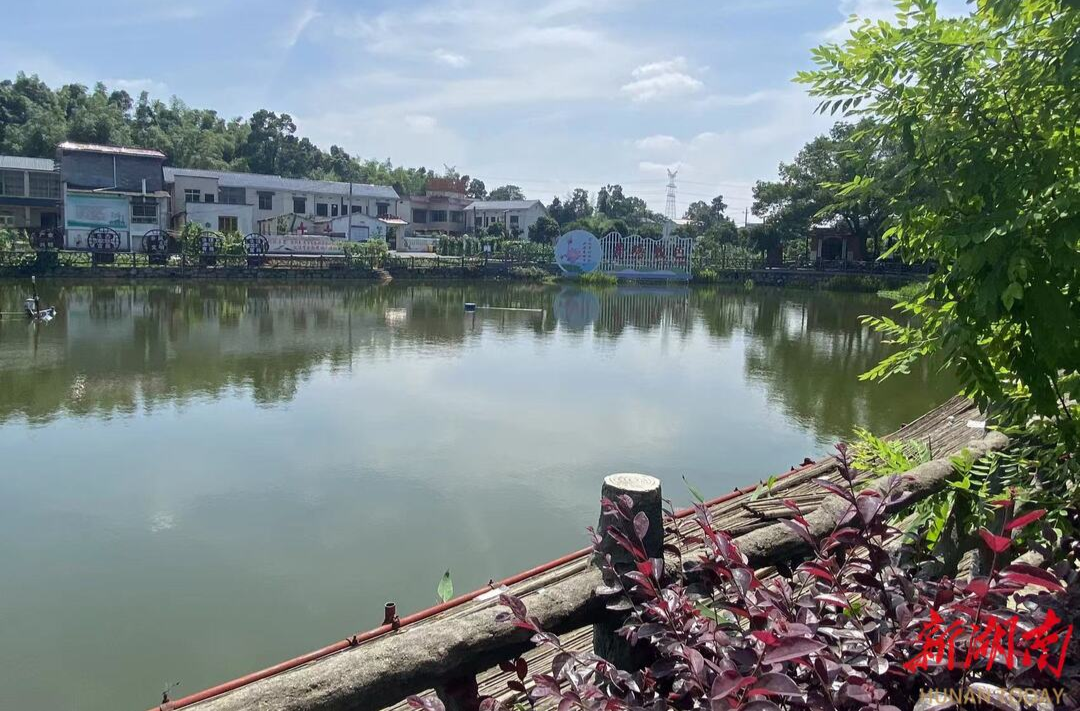 “四敢”看湘潭·地方敢闯丨小荷已露尖尖角 ——岳塘区荷塘村倾力打造三大农旅项目见闻