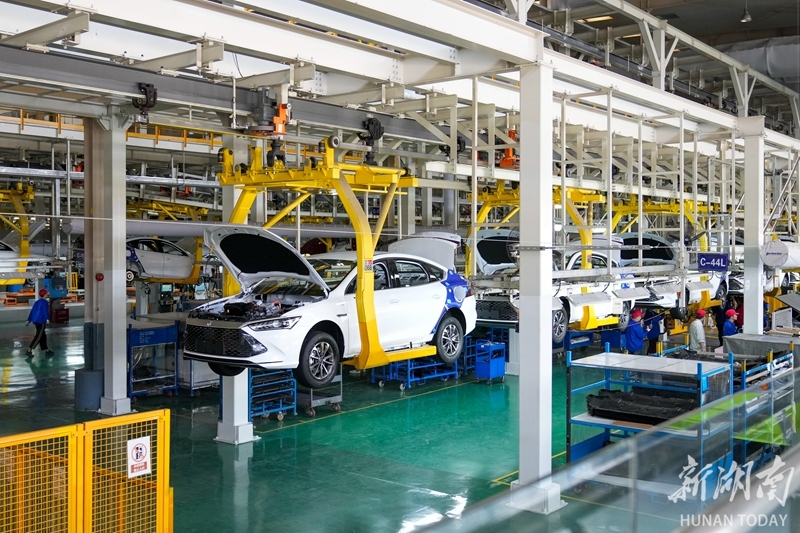 4月8日,比亚迪长沙基地总装车间,工人在新能源汽车生产线上忙碌.
