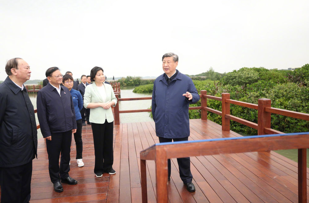 习近平在广东考察调研