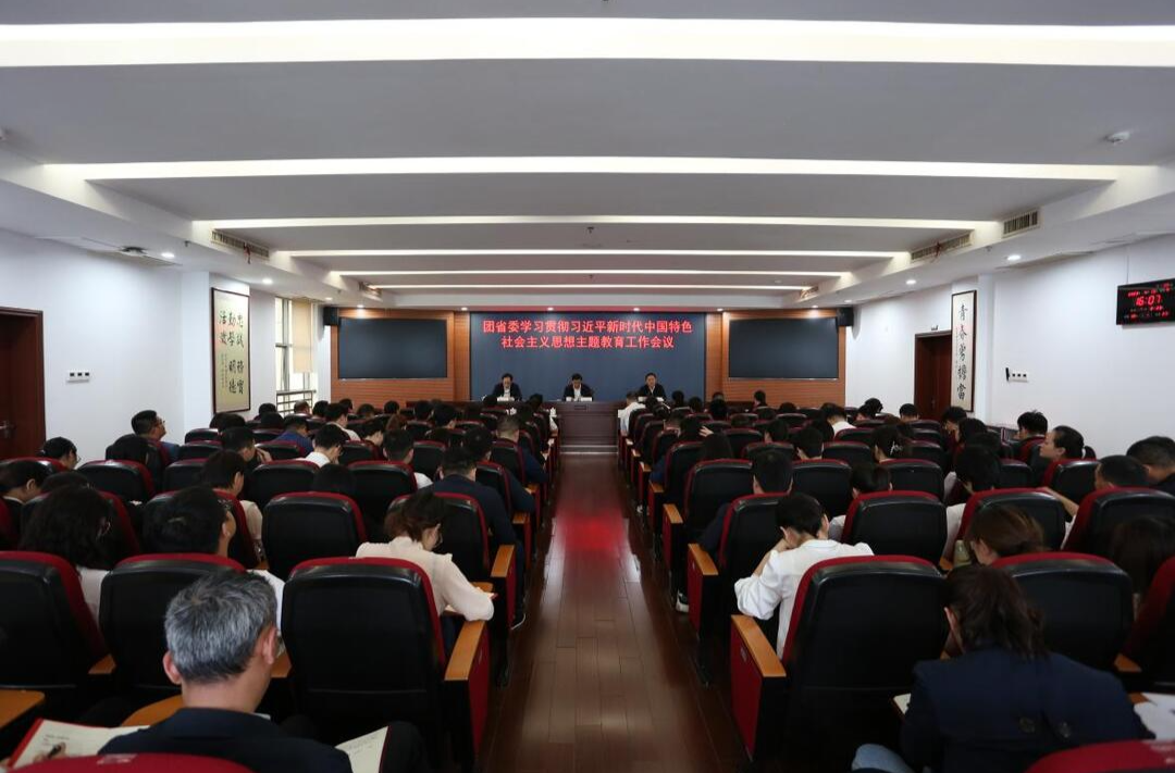 团省委召开学习贯彻习近平新时代中国特色社会主义思想主题教育工作会议