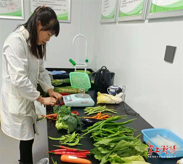 DeepSeek透视历年中央“一号文件”：农村电商发展历程与政策解读