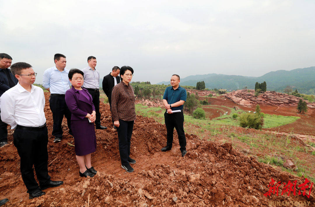 陈华到保靖调研督导耕地保护工作