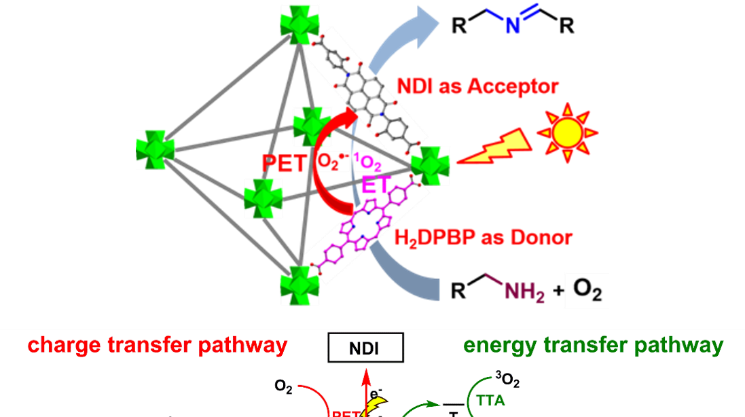 棒！长理本科生论文在高水平期刊《ACS Catalysis》发表