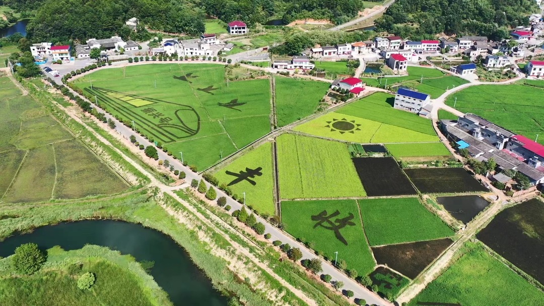 湖南日报市州头条｜湘乡集体收入薄弱村“清零”