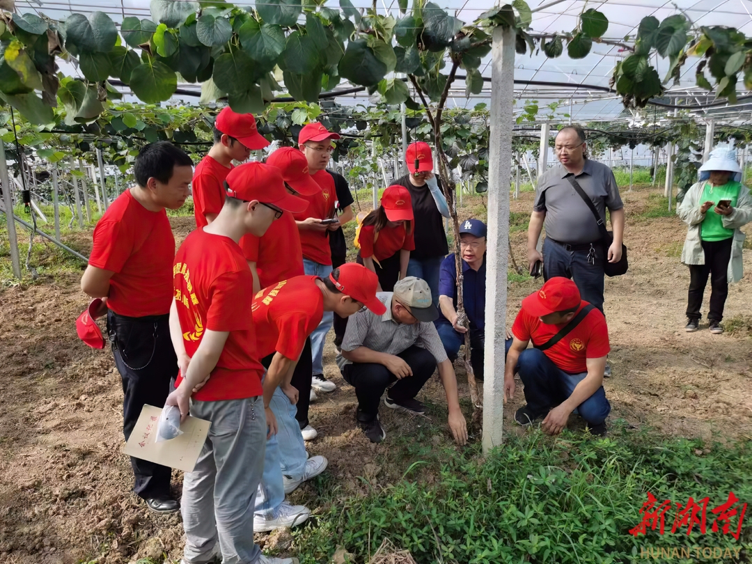 力争在乡村振兴的大舞台上建功立业！湖南农大科技小院师生热议习近平总书记回信