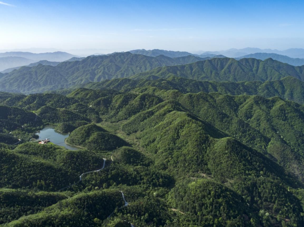 洞口县首届罗溪森林康养文化节开幕