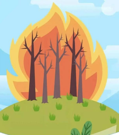 渌口区率先启动株洲市第一批林火阻隔系统与森林消防蓄水池建设