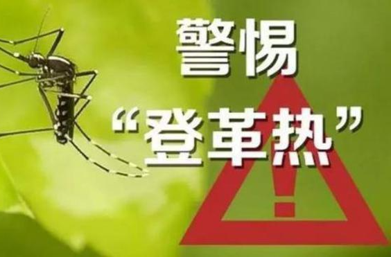 气温回升登革热来袭 这几招让传播疾病的蚊子退退退！