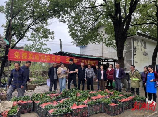 邵东:90后女孩返乡创业 网红电商助力乡村振兴_邵阳头条网