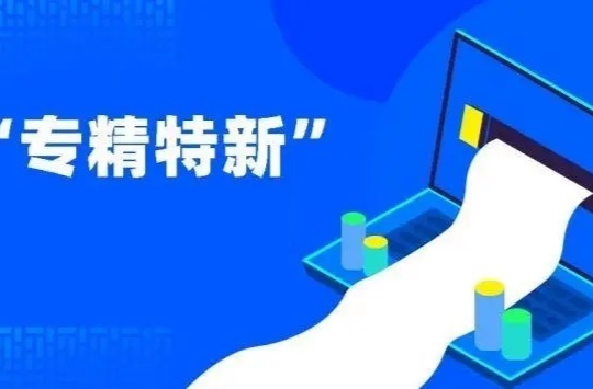 湖南支持中小企业专精特新发展