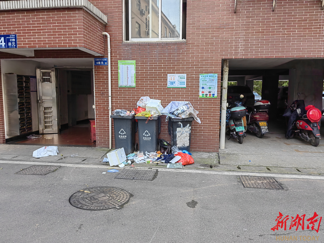垃圾“爆棚”惹人烦 及时处理赢点赞 - 街道动态 - 新湖南