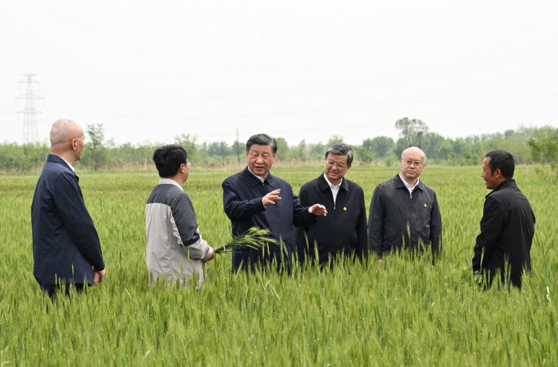 习近平在沧州市考察调研