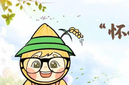 怀小稻人社微课第33期|怀孕就要被炒鱿鱼吗？