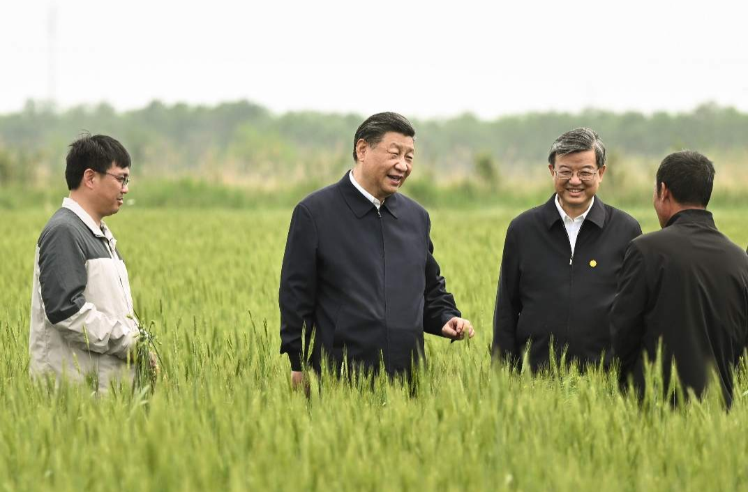 一见·从总书记下田，看粮食安全的“加减法”