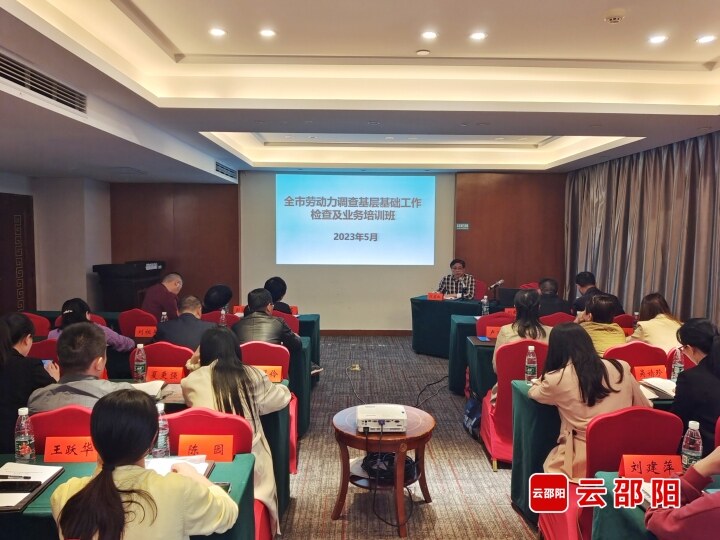 全市劳动力调查基层基础工作检查业务培训班开班_邵阳头条网