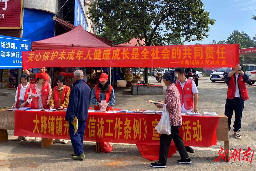 江华大路铺镇:《信访工作条例》宣传进乡村,依法信访入人心-新湖南