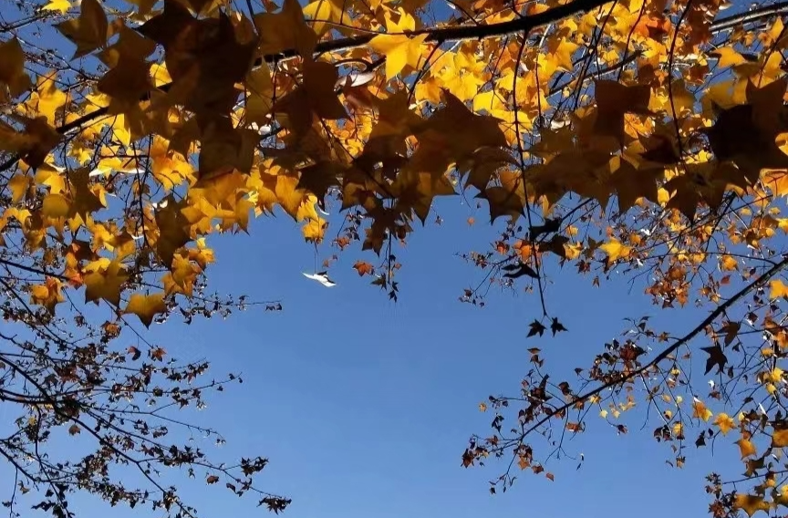 新闻分析：北方首轮高温来袭，今年会热过去年吗？