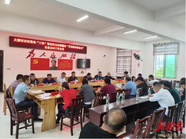 绥宁县:“驻场解剖麻雀式”自查自纠守护农村集体“家底”_邵阳头条网