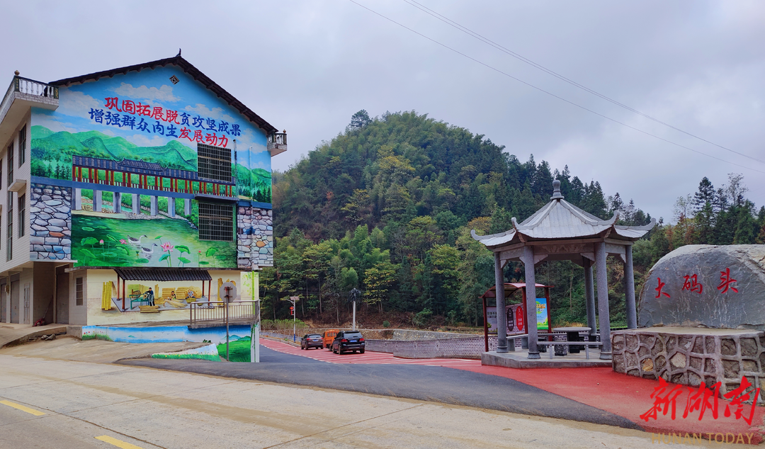 槎溪镇半山街村:打好"产业牌",奏响"振兴曲" - 新湖南客户端 - 新湖南