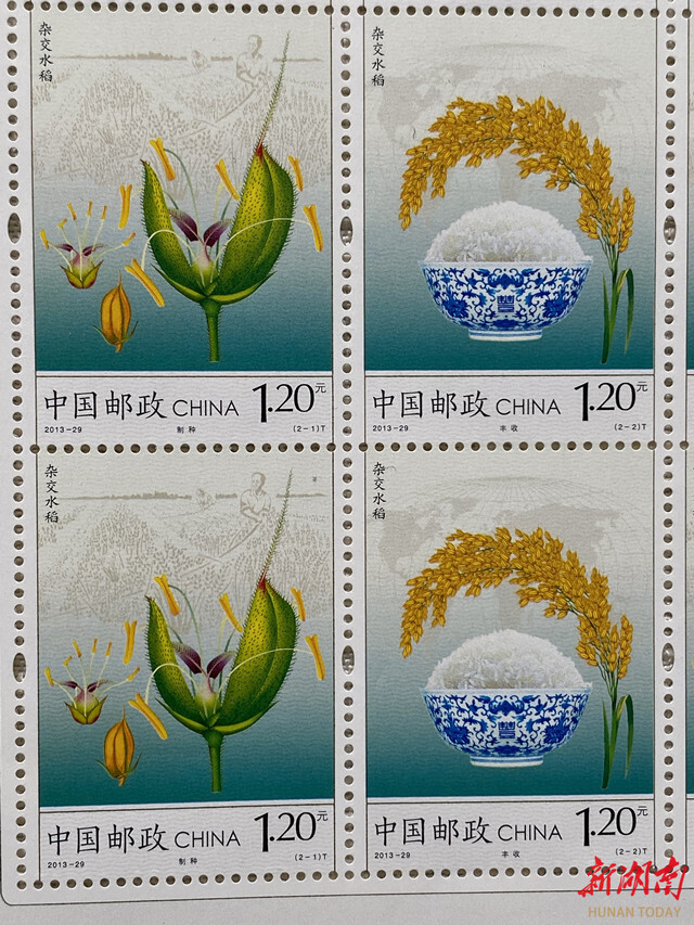 谨以此文缅怀袁隆平院士——杂交水稻走上邮票 - 怀化 - 新湖南