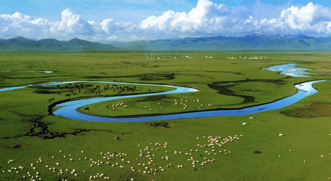 这些景区只对你免门票!原因太暖了……-新闻内容-中方县新闻网