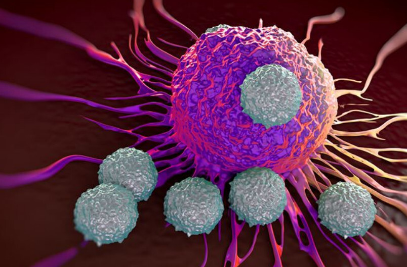 长期不生病的人免疫力差？真相来了！