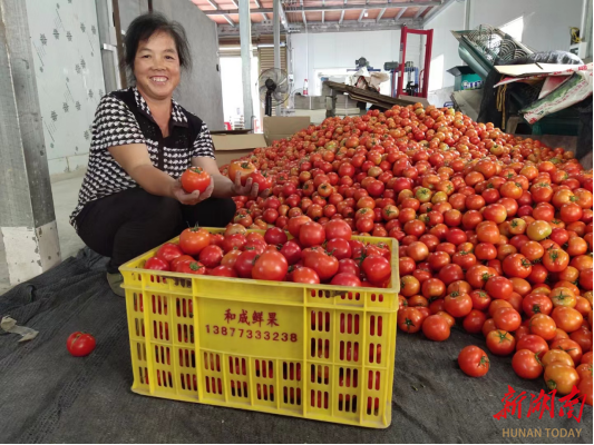 城步:“菜篮子村”的烦心事解决了_邵阳头条网