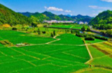 数量全国第一 ！4项国家重点农业科研攻关任务布局湖南