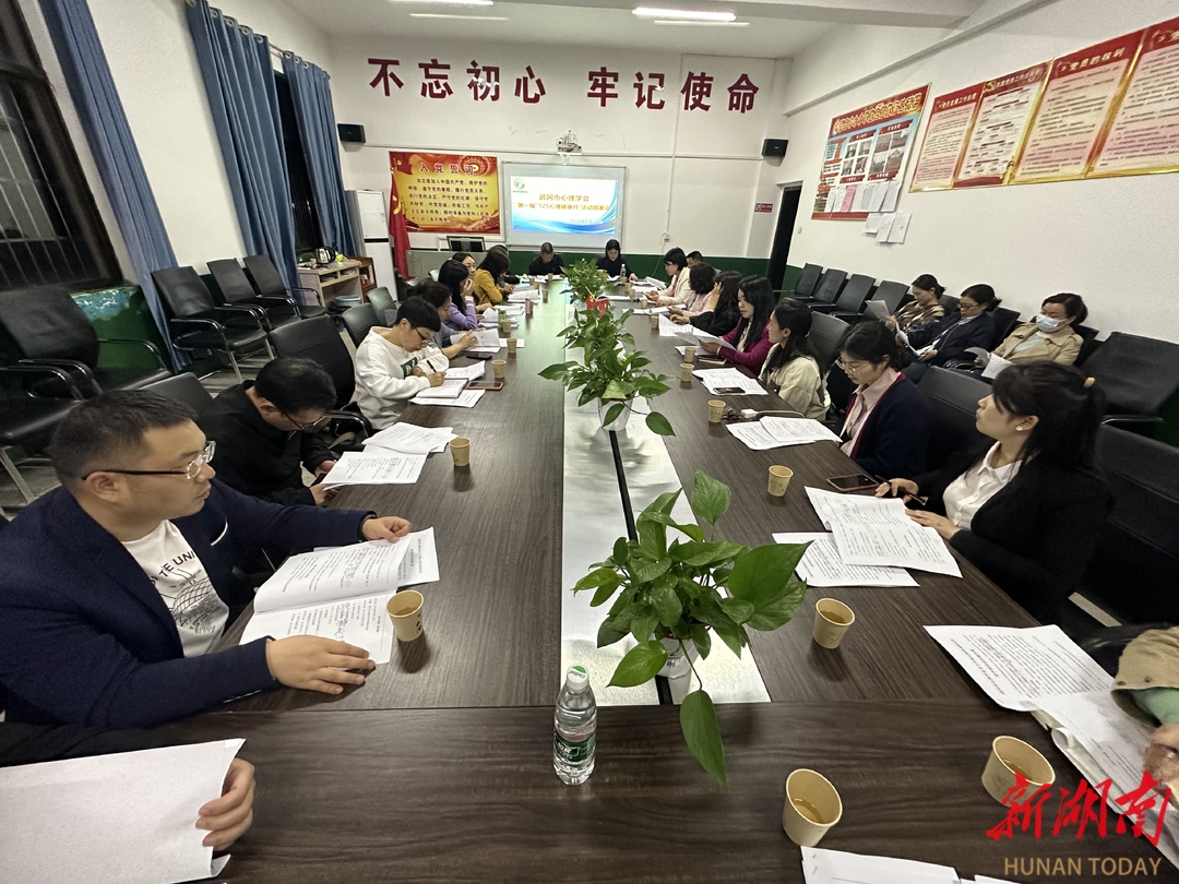 武冈组织学校开展心理工作交流会_邵阳头条网