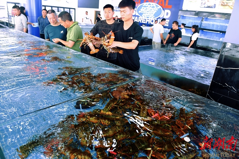 长沙红星全球农批中心海鲜水产批发市场投用